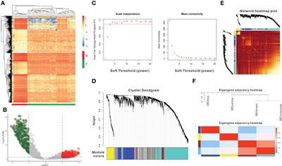 Identification of therapeutic targets and prognostic biomarkers in cholangiocarcinoma via WGCNA